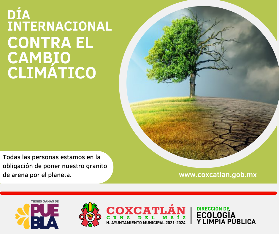 DíA INTERNACIONAL DE LUCHA CONTRA EL CAMBIO CLIMÁTICO