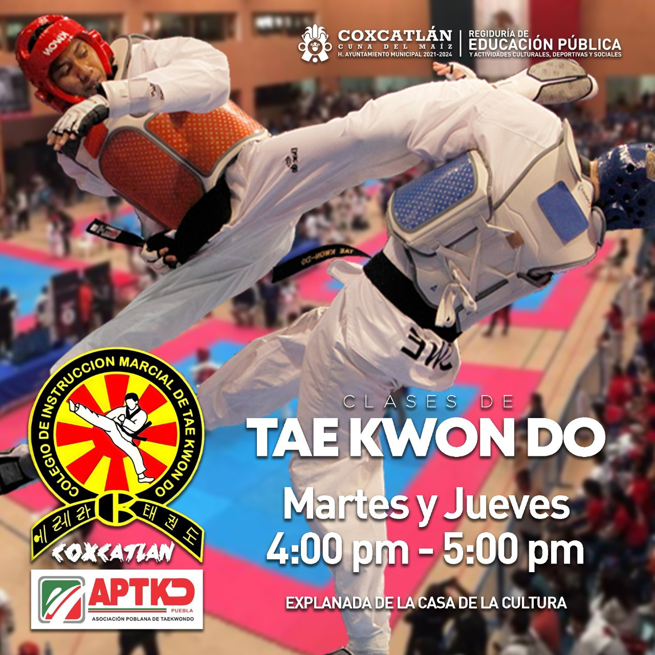 ¿Te interesa el #Taekwondo?